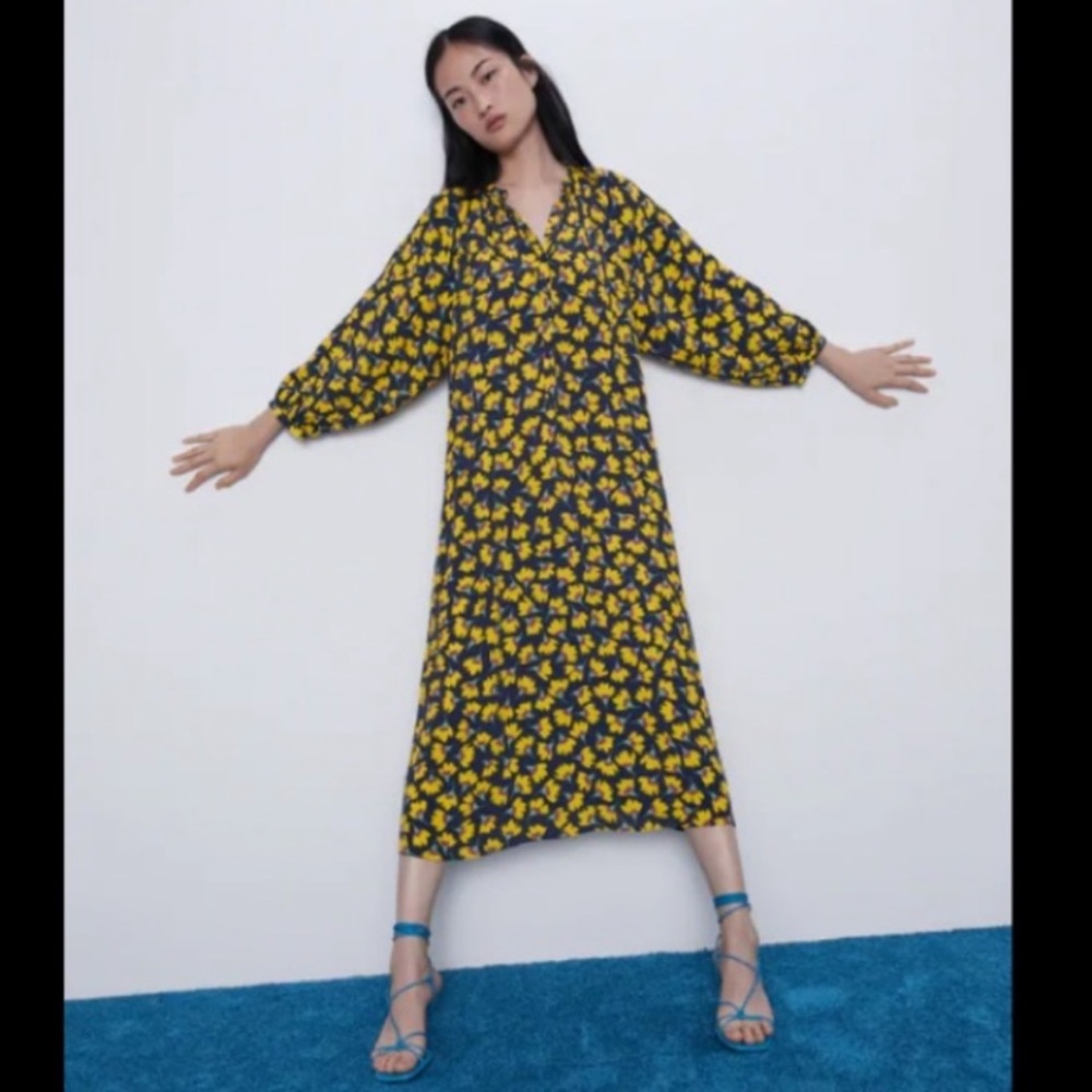 Zara dress